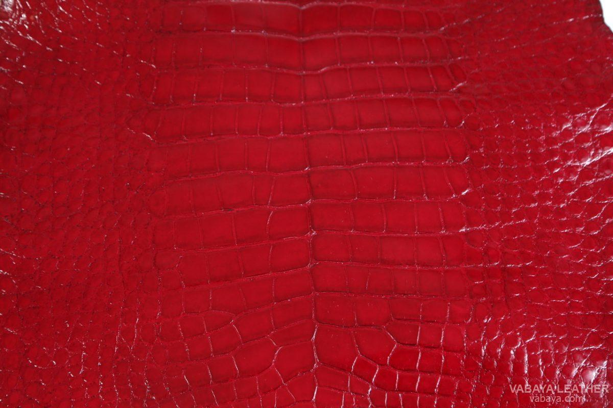 Alligator Leather 